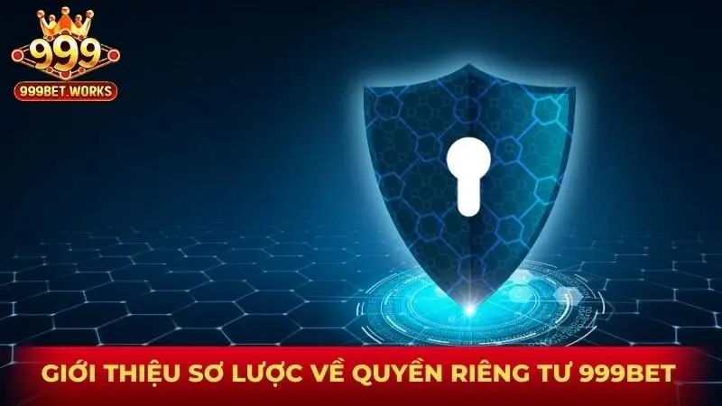 Giới thiệu sơ lược về quyền riêng tư 999bet