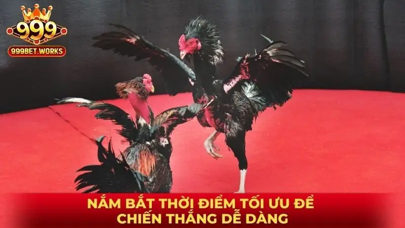 Nắm bắt thời điểm tối ưu để chiến thắng dễ dàng